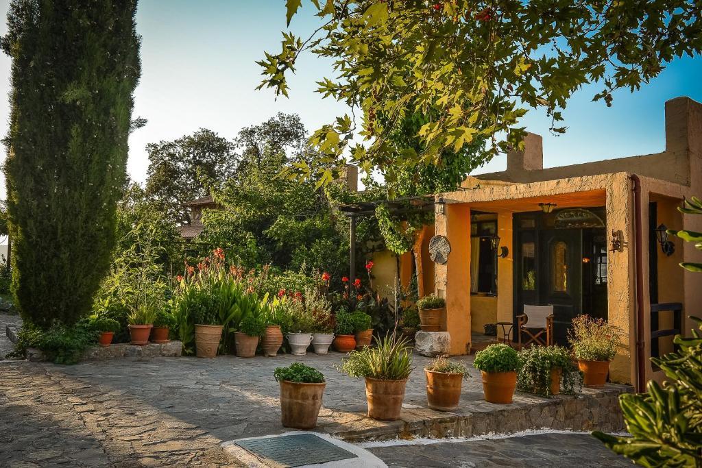 Enagron Ecotourism Village Axos Exterior photo